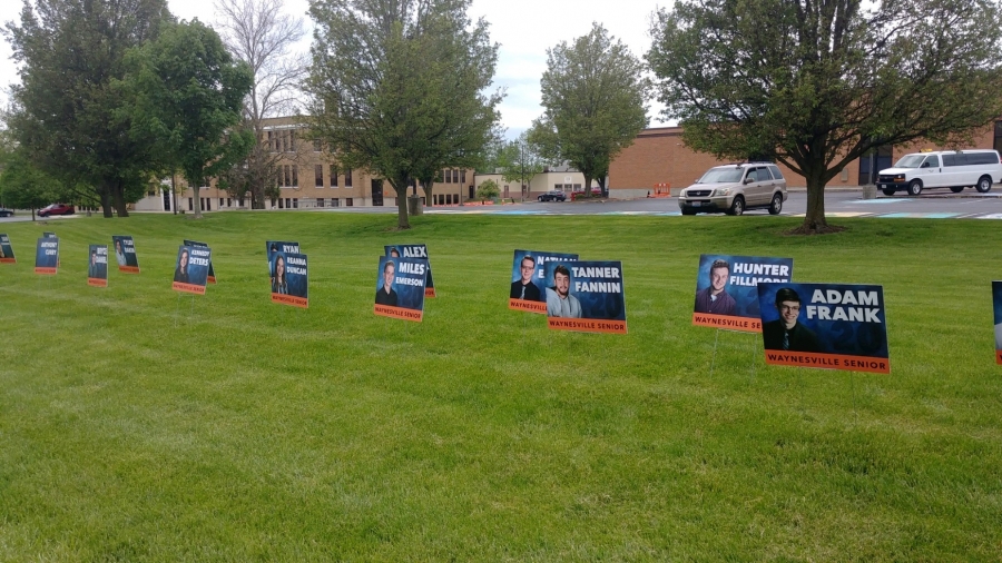 row of yard signs